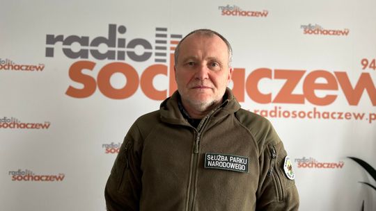 Maciej Szajowski 18.02.2026