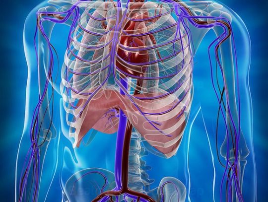 Badania profilaktyczne w Brochowie