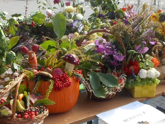 Błonie: 6 edycja Jesiennego Warzywniaka