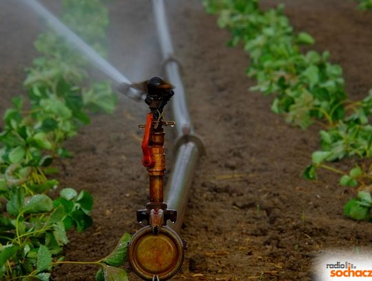 Co z przepompownią w Czystem?