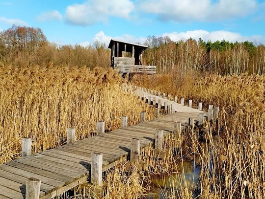 Cztery Strony Regionu: Kampnoski Park Narodowy