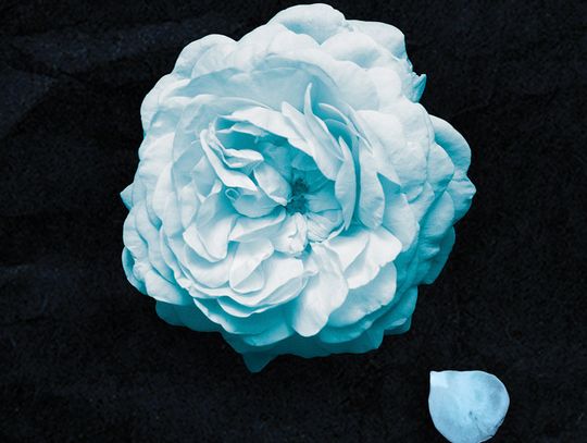 "Czy to sen?" - Natalia Klewicz "Czy to sen?" - Natalia Klewicz