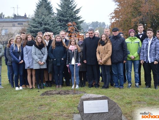 Dąb Feliks na 60 lat istnienia szkoły