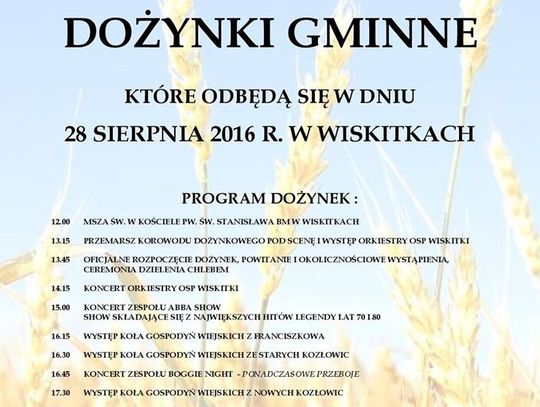 Dożynki 2016 - Wiskitki