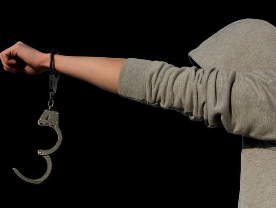 Dwóch nastolatków z Rybna okradło bibliotekę