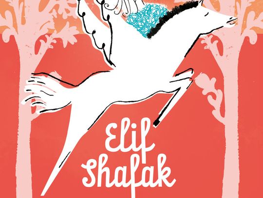 "Dziewczynka, która nie lubiła swojego imienia" - Elif Safak