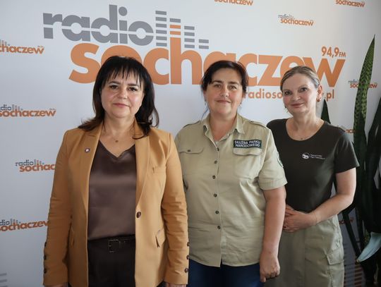 Grzybowy projekt PSSE Sochaczew i KPN, będzie wystawa i nie tylko