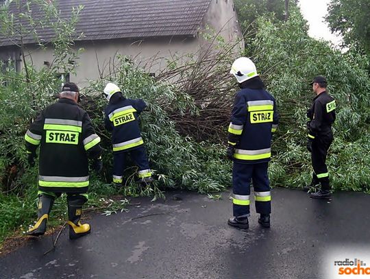 Gwałtowna burza poprzewracała drzewa