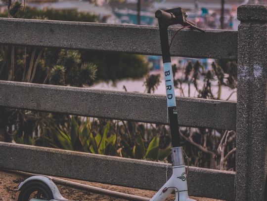 Hulajnogi elektryczne made in Poland - Motus xD