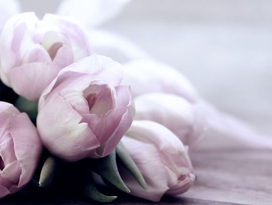 Hurtownia sztucznych kwiatów – dlaczego warto dokonywać w niej zakupów?