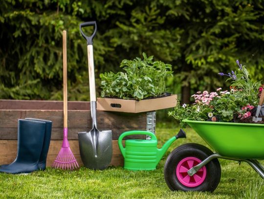 Jak urządzić funkcjonalne zaplecze ogrodowe?