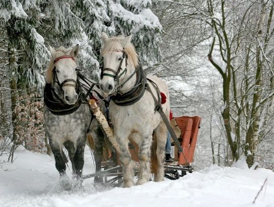 Kuligi w Zakopanem z transferem- tradycyjny, z biesiadą, w dobrej cenie