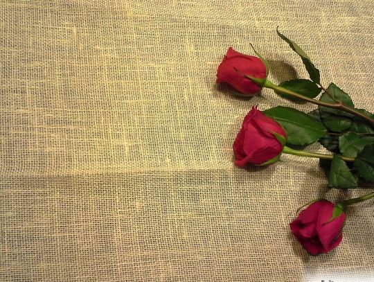 Kwiaty, czekoladki, miłe słowa – czyli dzień kobiet!