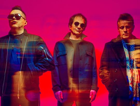 Letni flirt T.Love z Sarsą