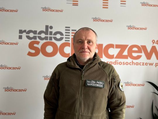 Maciej Szajowski 18.02.2026