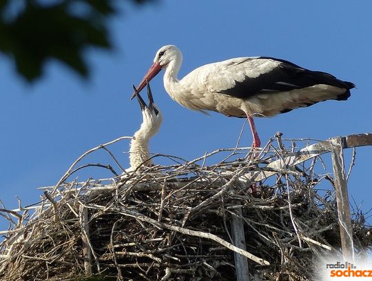 "Mazowsze. Weekend dwa kroki stąd" - otwarcie sezonu turystycznego