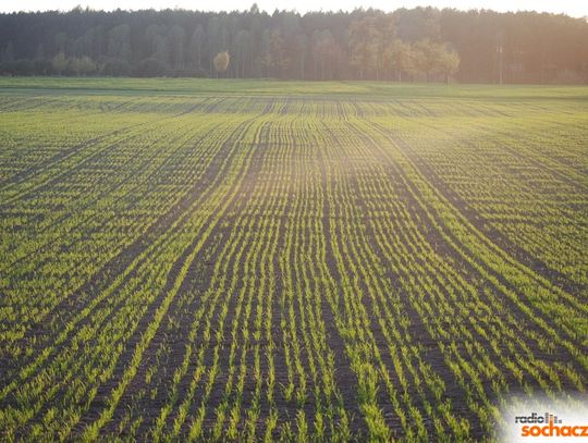 O trudnościach w gminie Iłów