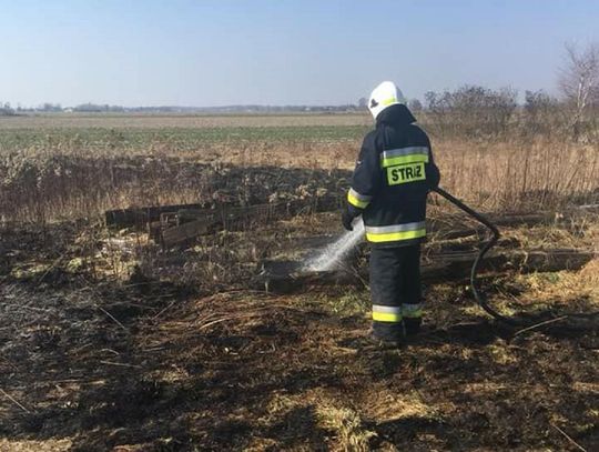 Pierwsze pożary traw w powiecie sochaczewskim