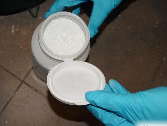 Policja: mundurowi z Sochaczewa i Radomia zlikwidowali największą na Mazowszu plantację marihuany