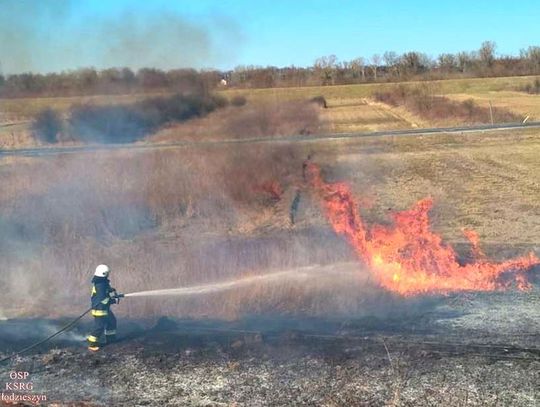 Pożar traw w Kamionie: spłonęły dwa hektary łąk