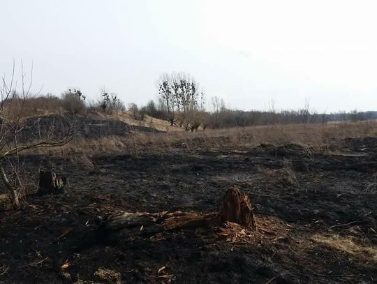 Pożar w Plecewicach: zdjęcia czytelnika