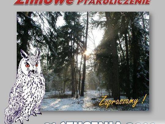 Ptakoliczenie na skraju puszczy