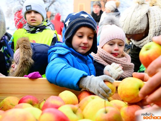 Rozdaliśmy 2 tony jabłek!