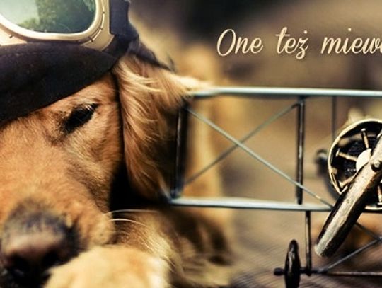 Sąsiedzi "Azorka" o schronisku