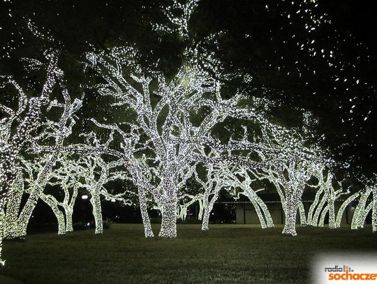 Sochaczew: Ratusz wyda 120 tysięcy złotych na nowe oświetlenie świąteczne