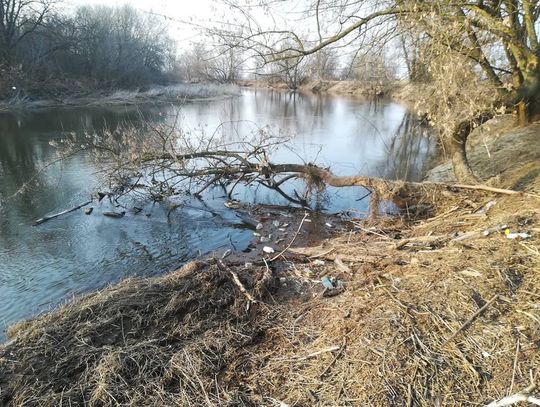 Sprzątanie Bzury z kajaków 2018