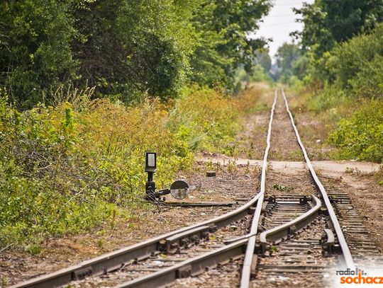 Stacja Muzeum: Konferencja "Znaczenie miejsc przyrodniczo cennych oraz edukacji ekologicznej w turystyce”