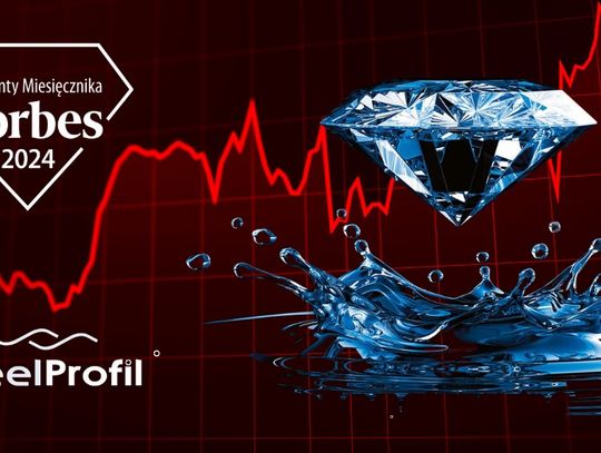 SteelProfil – lider rynku, który wyznacza kierunek rozwoju technologii lekkiej obudowy SteelProfil – lider rynku, który wyznacza kierunek rozwoju technologii lekkiej obudowy