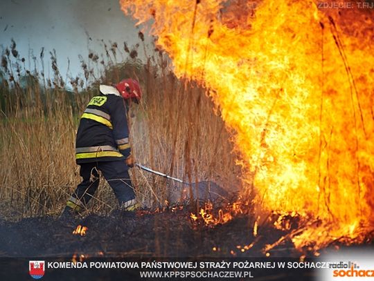 Susza, pożary i wysokie zagrożenie pożarowe