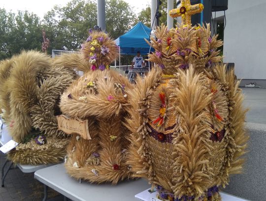 Święto Plonów Błonie 2017