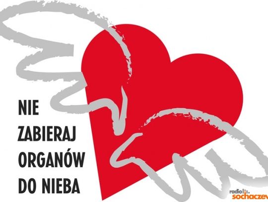 Transplantacja - mity