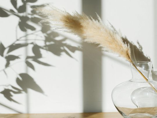 Trawy ozdobne w aranżacji ogrodu - pomysły na stylowe kompozycje