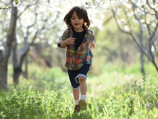 Trendy Półbutów Dla Chłopca: Jak Wybrać Idealny Model?