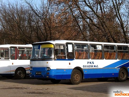 Trwają analizy dotyczące komunikacji miejskiej w Błoniu