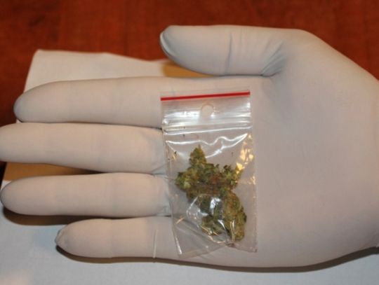 Trzech nastolatków zatrzymanych z marihuaną