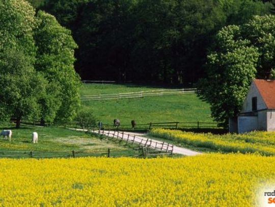 W Brochowie rozmawiano o Leaderze