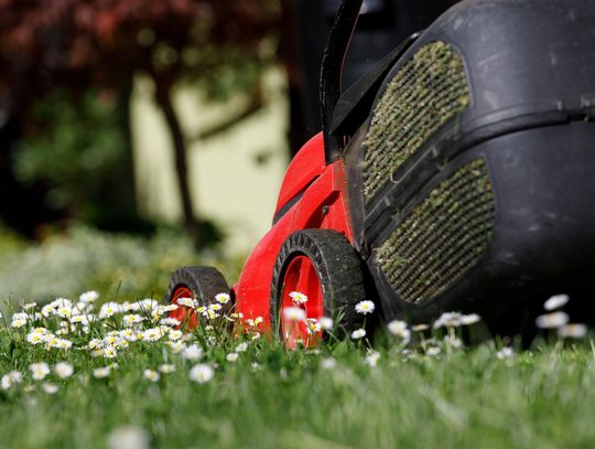 Wiosenne porządki w ogrodzie- jakie urządzenia są warte zakupu?