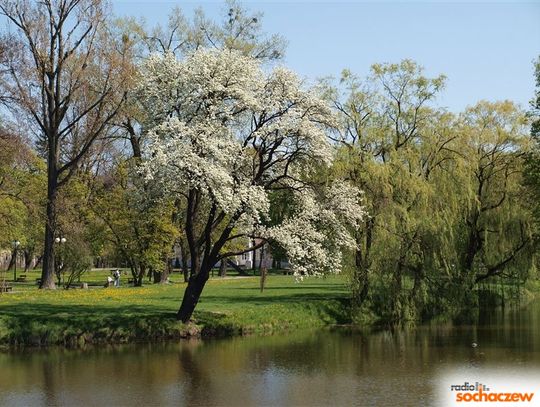 Wkrótce rewitalizacja dwóch sochaczewskich parków
