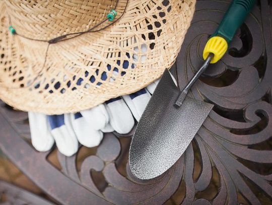 Z pasji do zieleni – jak ogrodnictwo wpływa na zdrowie i samopoczucie