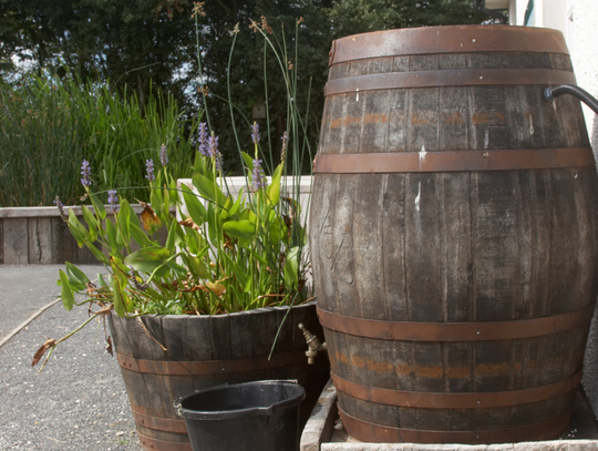 Zadbaj o ogród latem – beczki  na wodę jako domowe systemy nawadniania