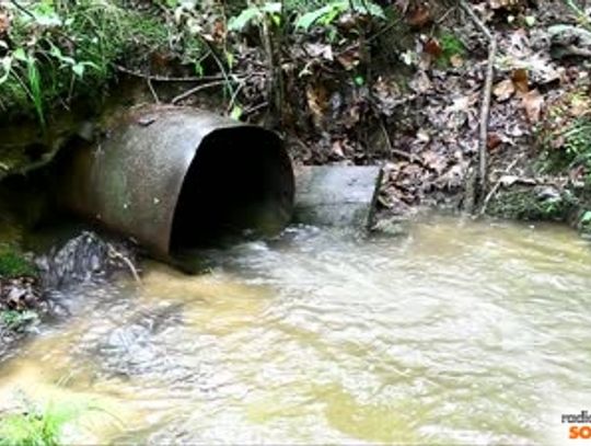 Zanieczyszczenie Bzury - interweniowali strażacy