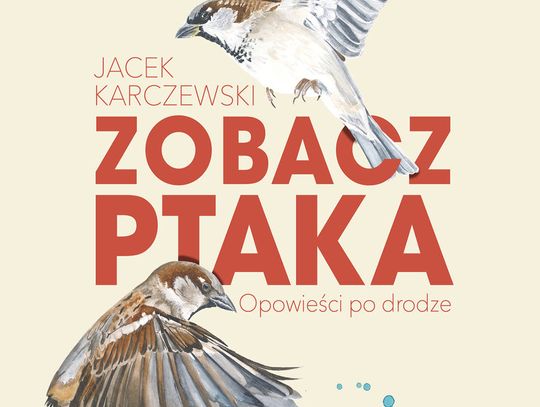 "Zobacz ptaka. Opowieści po drodze" - Jacek Karczewski