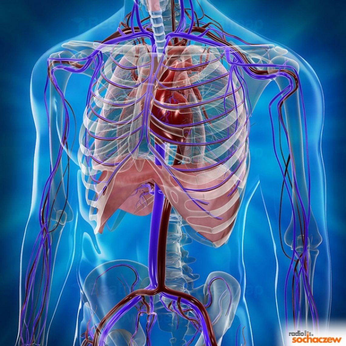 Badania profilaktyczne w Brochowie Badania profilaktyczne w Brochowie