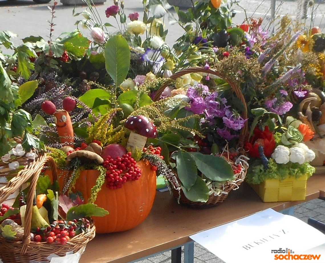 Błonie: 6 edycja Jesiennego Warzywniaka