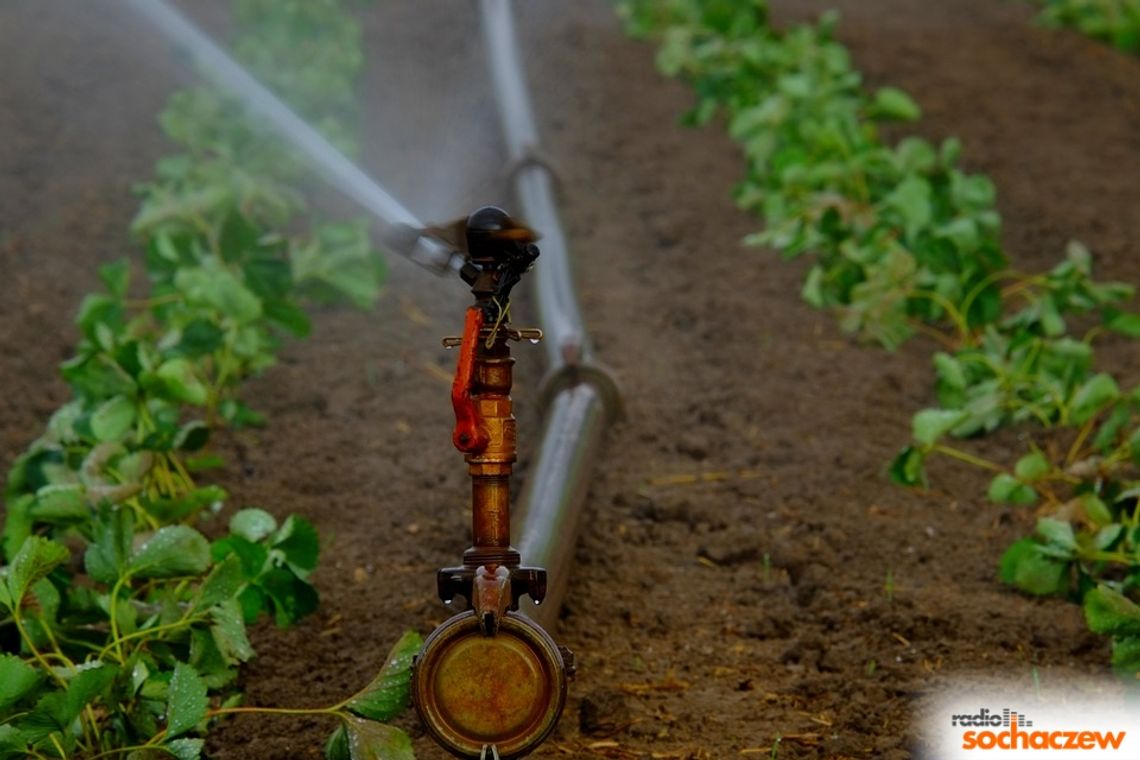 Co z przepompownią w Czystem? Co z przepompownią w Czystem?