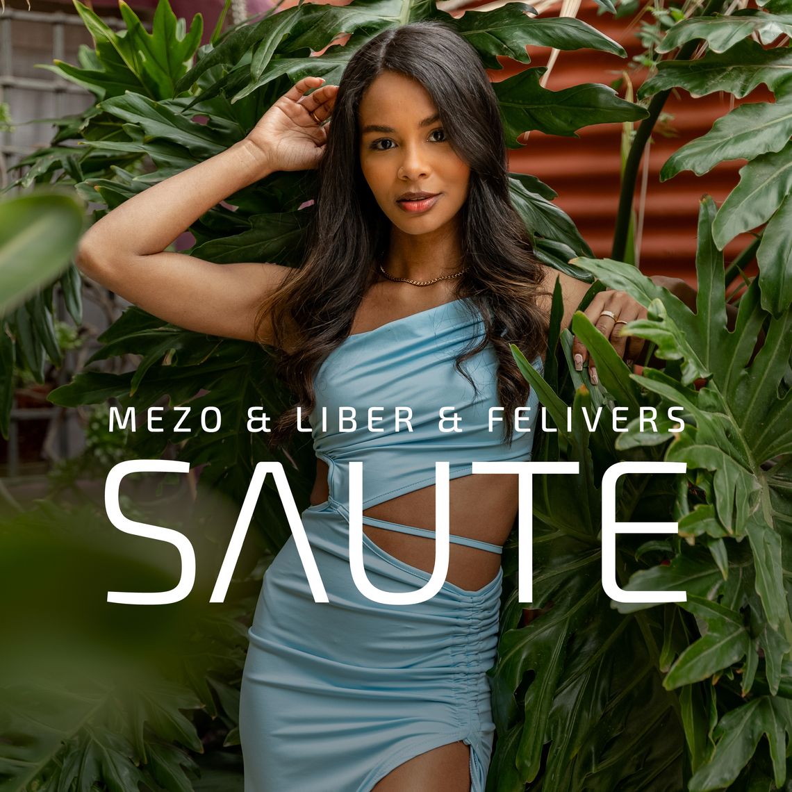 Felivers we współpracy z Mezo i Liberem. "Saute" premierowo w Radiu Sochaczew